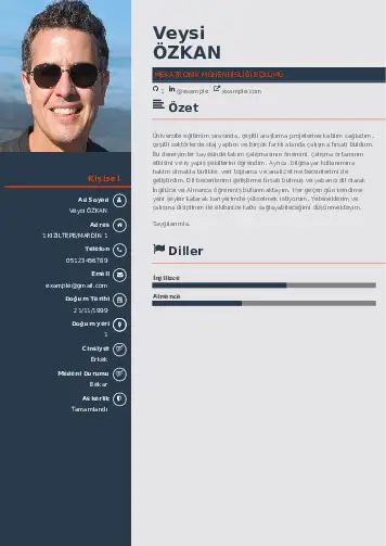 Mekatronik Mühendisliği Cv Örnekleri cv indir